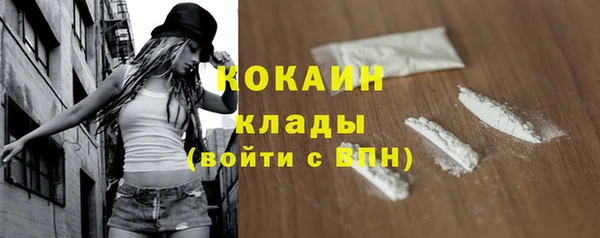 mix Богородицк