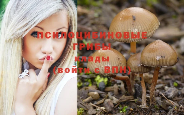 mix Богородицк